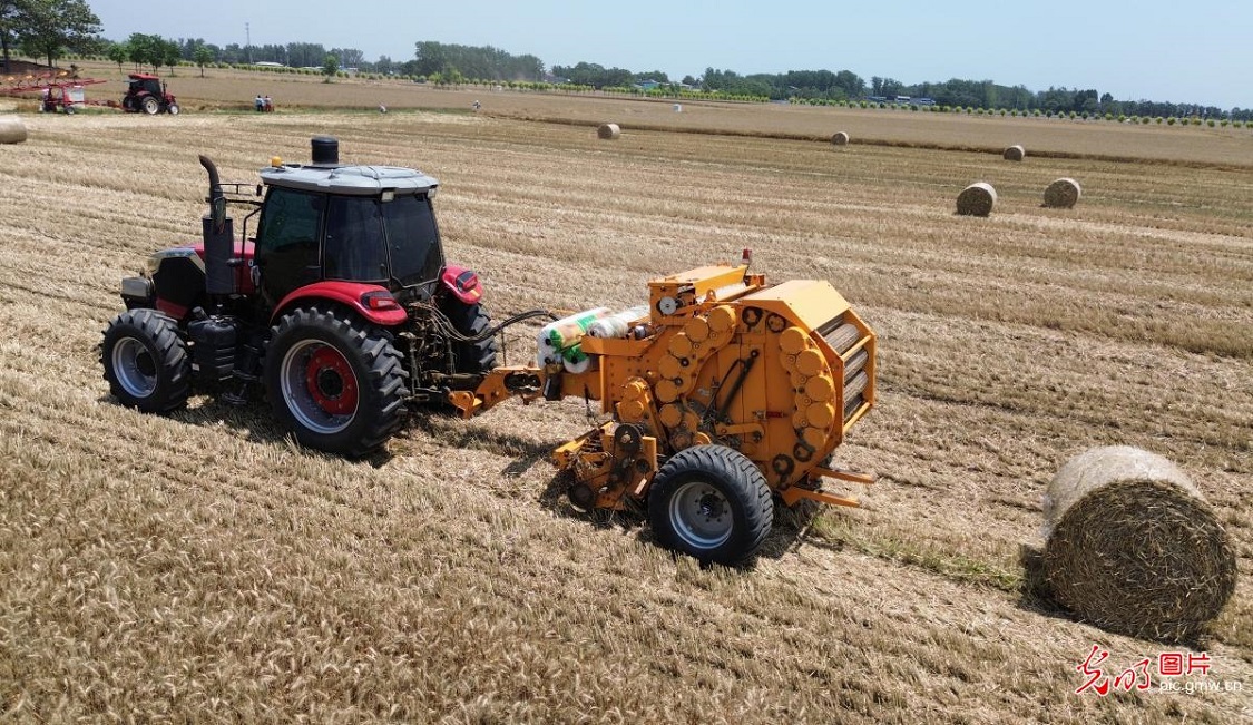 Wheat straw recycling underway in C China's Henan Wheat straw recycling underway in C China's Henan