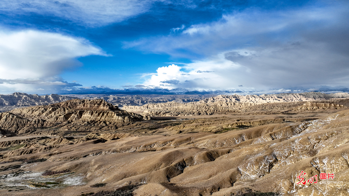 Scenery of earth forest and snow-capped mountains in China's Xizang Scenery of earth forest and snow-capped mountains in China's Xizang