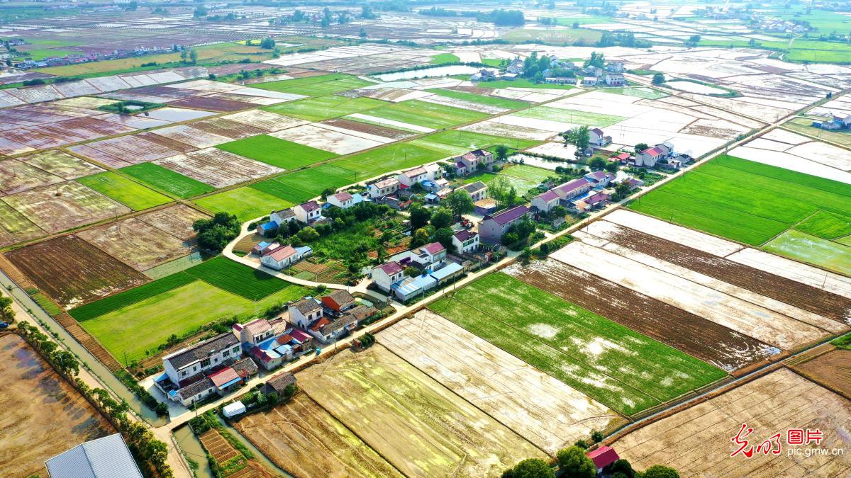Vibrant countryside in summer Vibrant countryside in summer