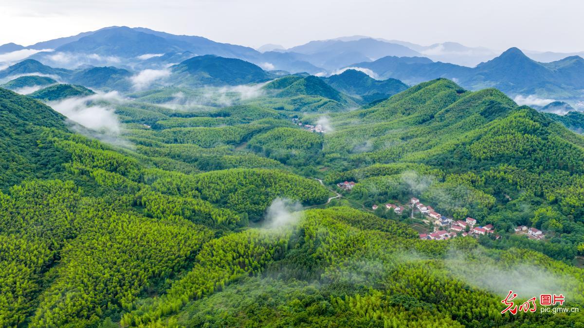 Misty mountains create fairyland scenery in E China's Anhui