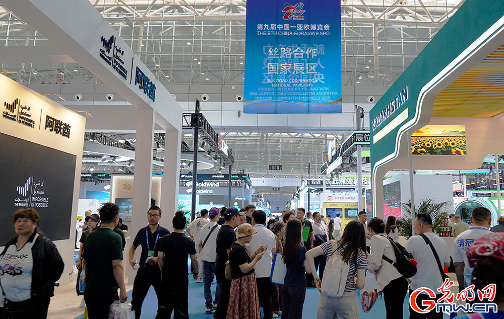 In pics: A glimpse of 9th China-Eurasia Expo in NW China's Xinjiang