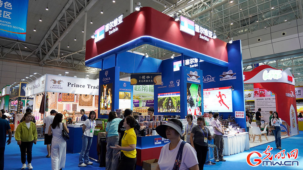 In pics: A glimpse of 9th China-Eurasia Expo in NW China's Xinjiang
