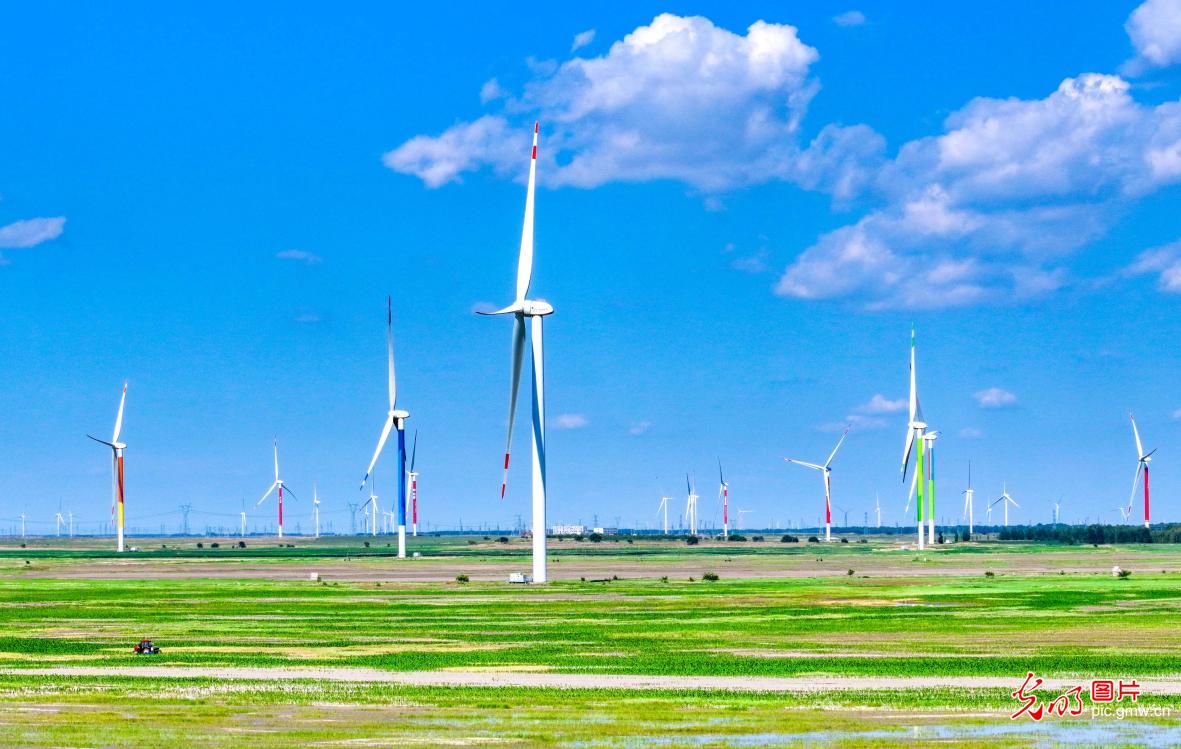 Wind turbines decorate grassland in N China's Inner Mongolia
