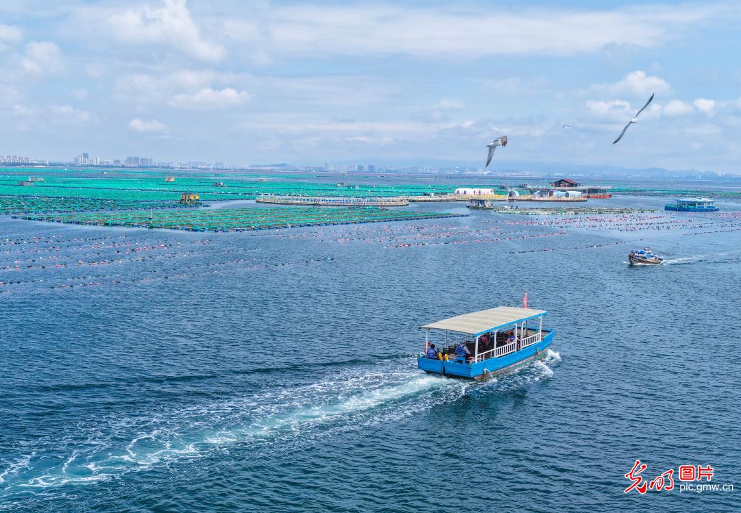 Eco-friendly marine ranches draw visitors in E China