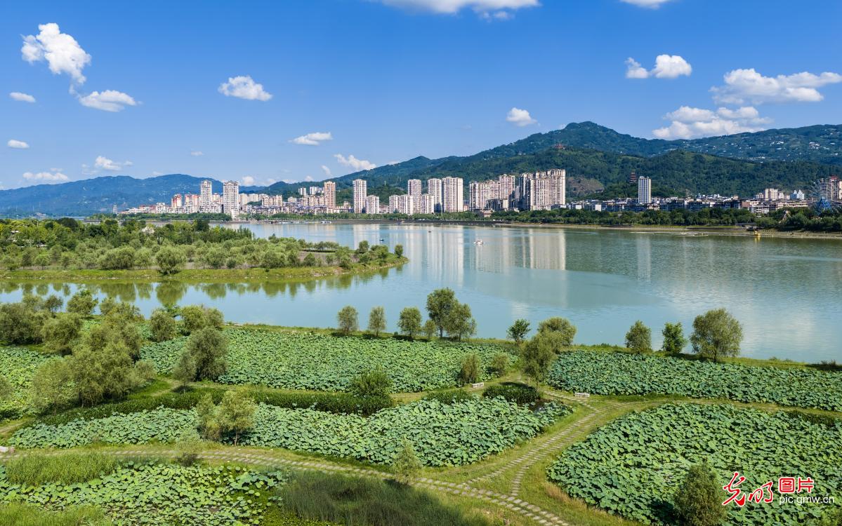 Livable wetland landscape in Chongqing Livable wetland landscape in Chongqing