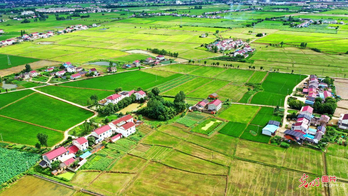 Picturesque rural scenery in E China's Anhui