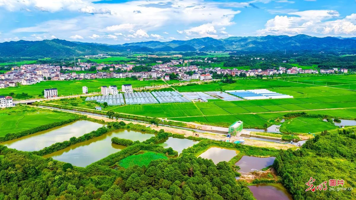 Picturesque summer countryside in E China's Jiangxi Picturesque summer countryside in E China's Jiangxi