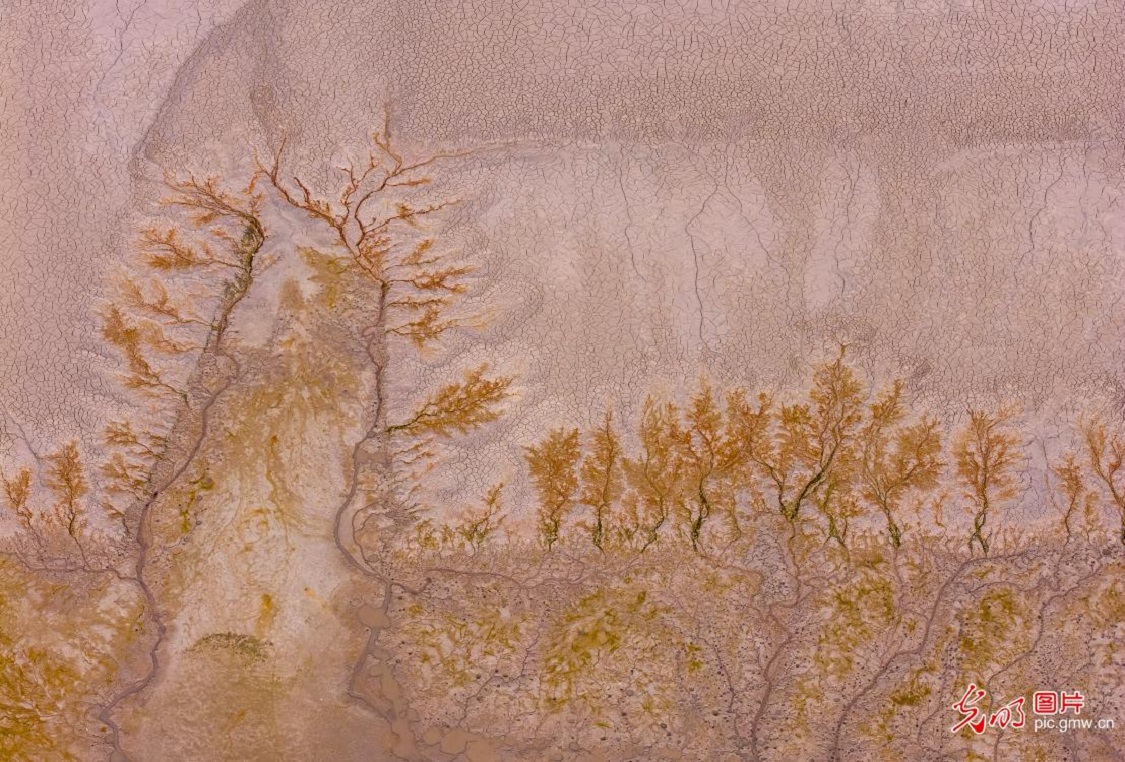 Nature creates stunning sand paintings on Yellow Riverbed
