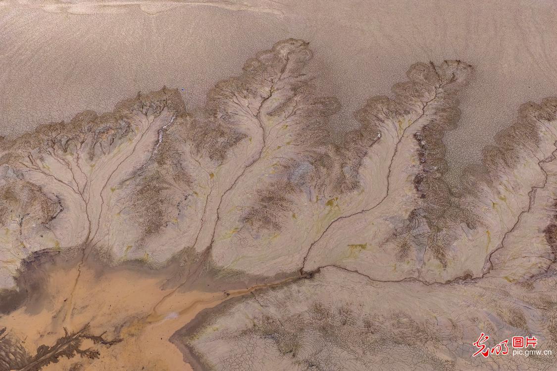 Nature creates stunning sand paintings on Yellow Riverbed