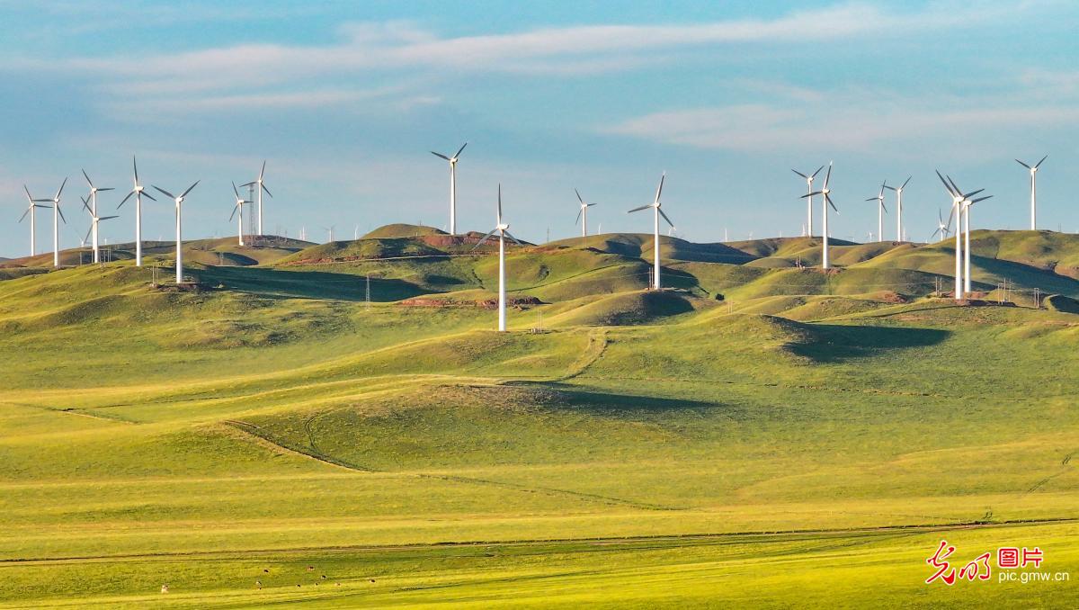 Wind farm blends beautifully with grassland scenery Wind farm blends beautifully with grassland scenery