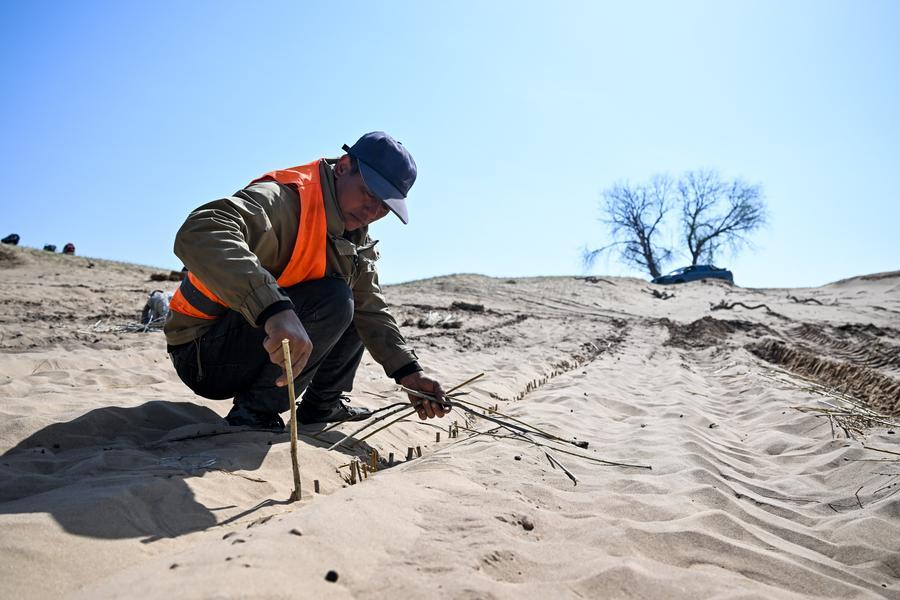 Restoring grasslands sustains both land and life in China's Inner Mongolia