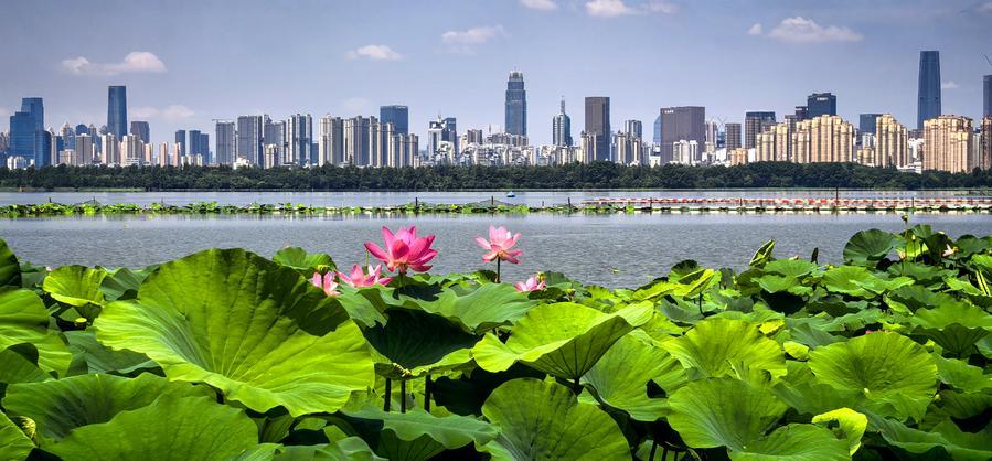Building on green gains, roadmap charts next five years for a Beautiful China