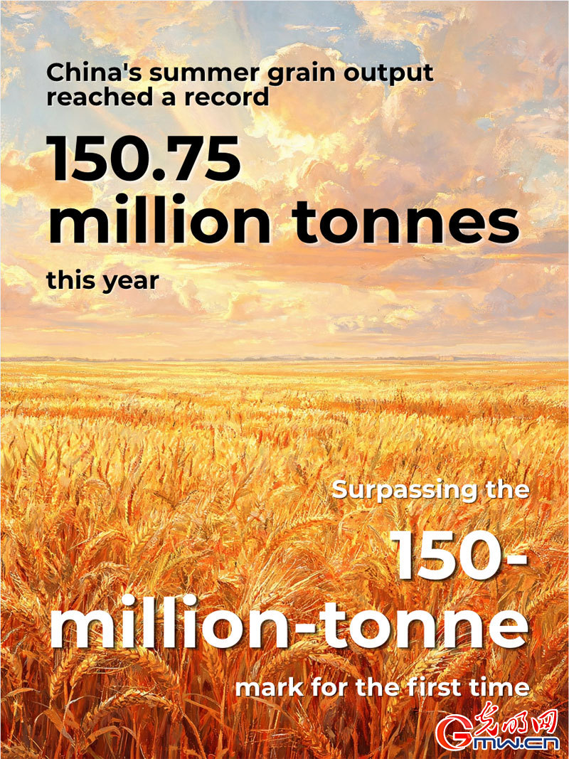 Posters: China's summer grain output exceeds 150 million tonnes