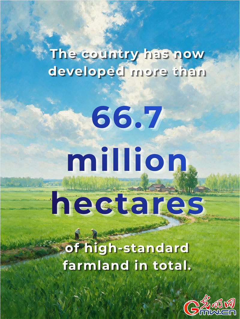Posters: China's summer grain output exceeds 150 million tonnes