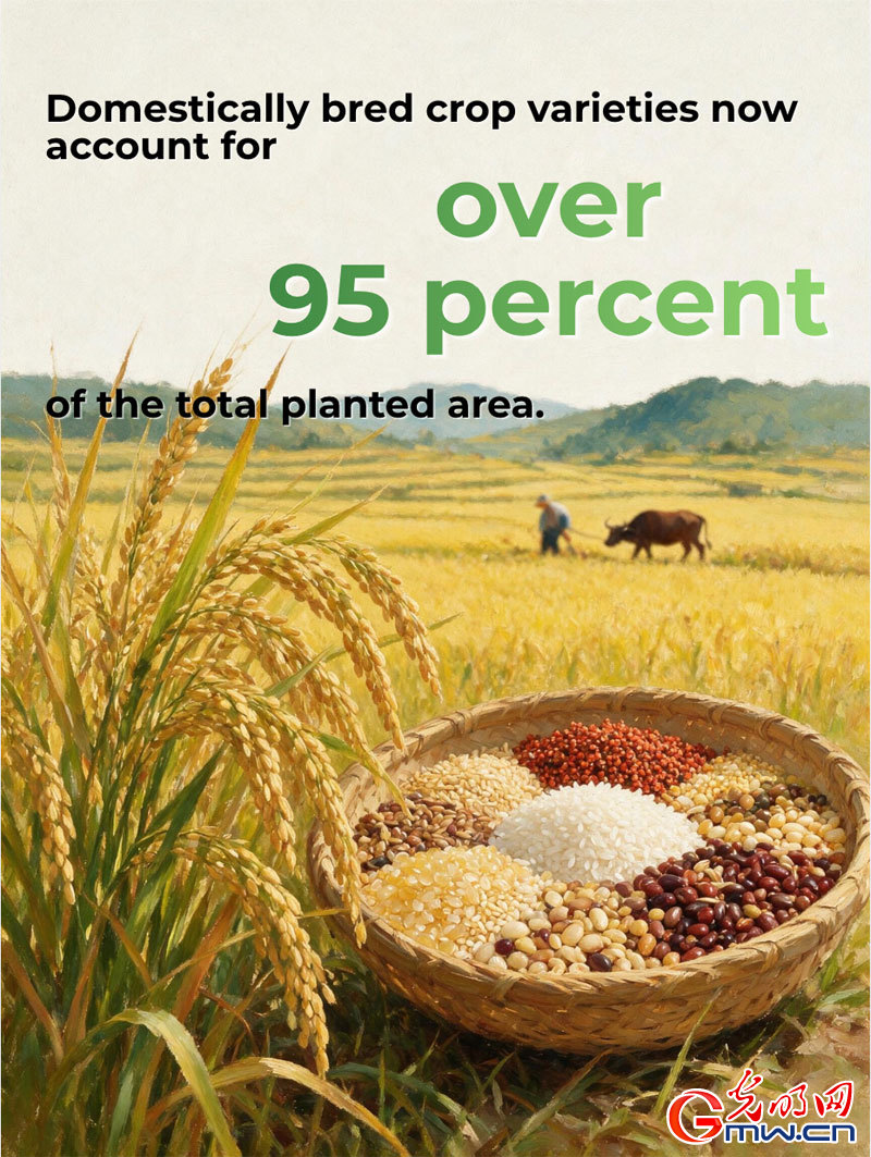 Posters: China's summer grain output exceeds 150 million tonnes
