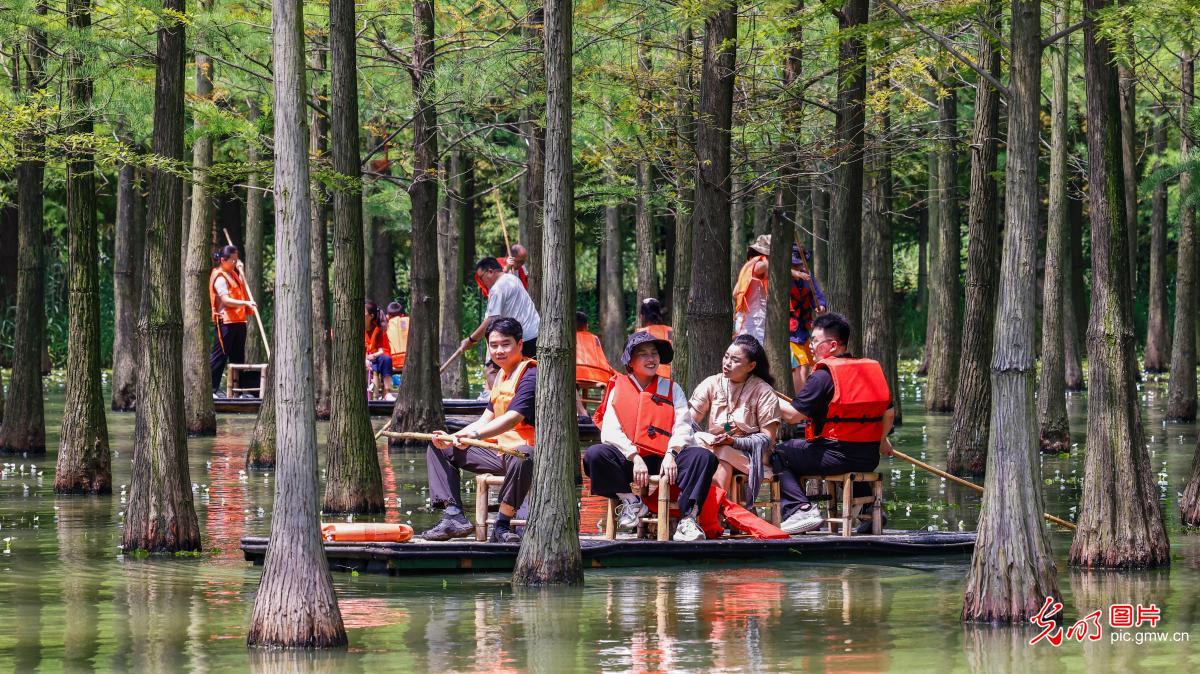 Exploring Hongze Lake Wetland by bamboo raft Exploring Hongze Lake Wetland by bamboo raft