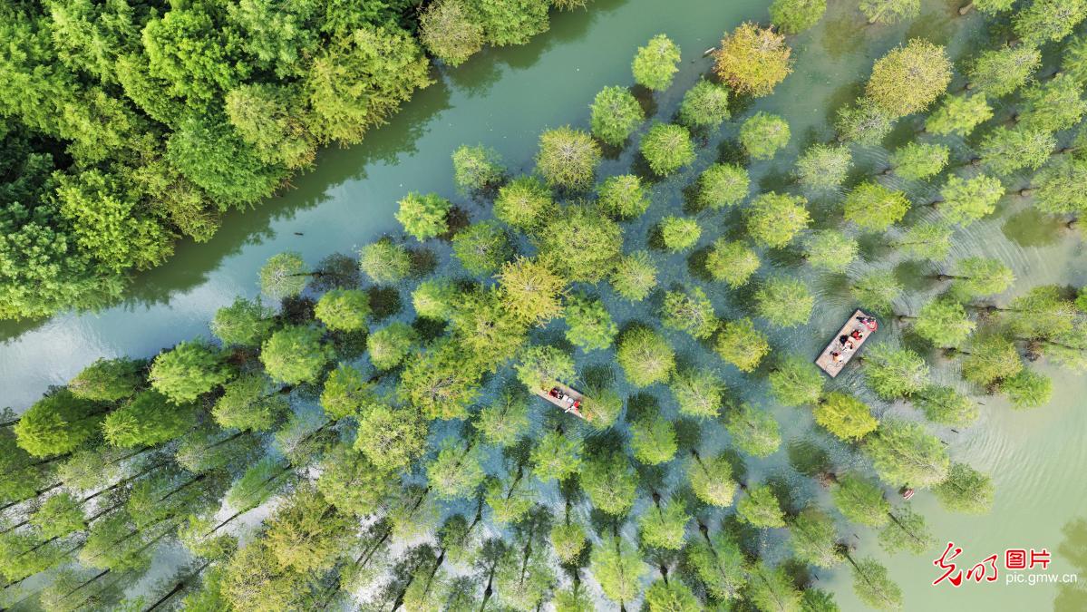 Exploring Hongze Lake Wetland by bamboo raft Exploring Hongze Lake Wetland by bamboo raft