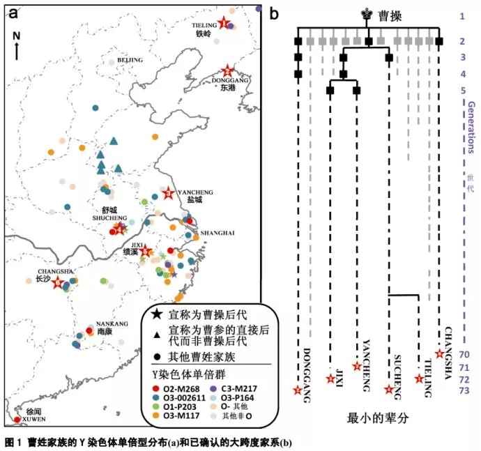 DNA能帮曹操找回身世吗？