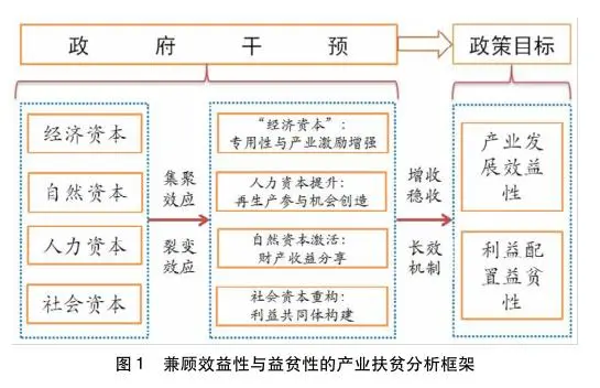 刘红岩：中国产业扶贫的减贫逻辑和实践路径