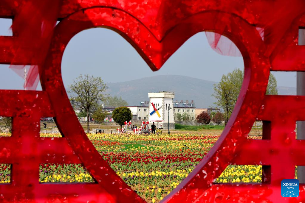 Tourists view tulips in Suiping County, Henan