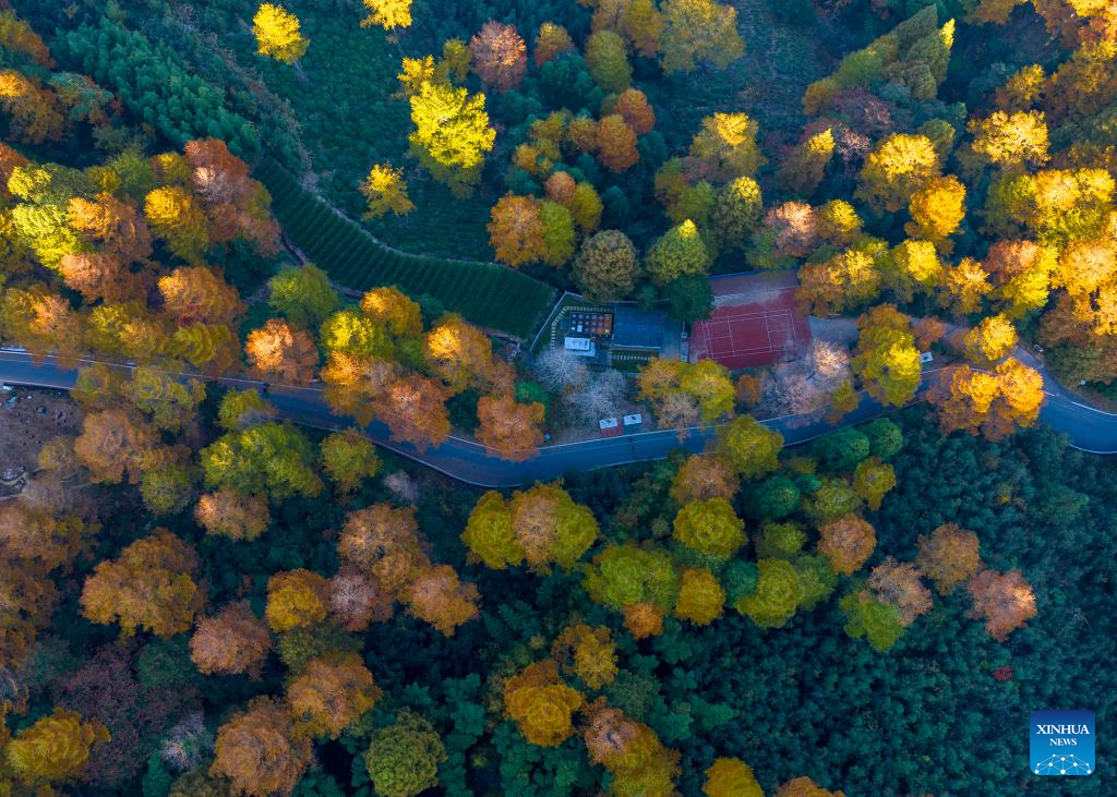 Autumn scenery across China