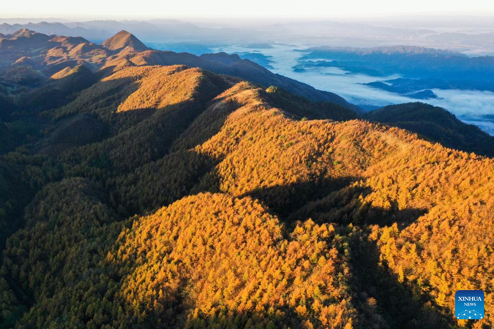 Autumn scenery across China