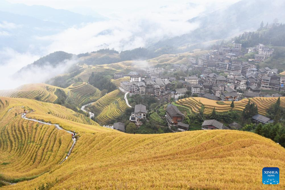 Autumn scenery across China
