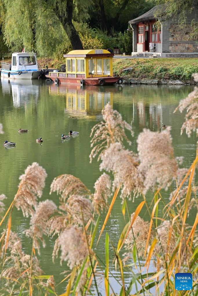 Autumn scenery of Summer Palace in Beijing