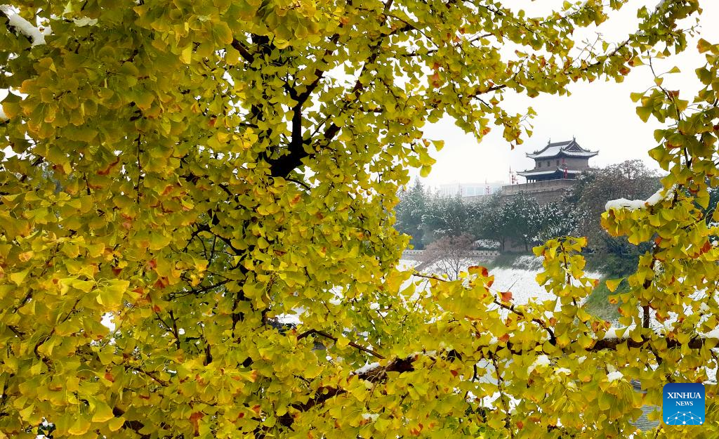 City view of snow-covered Xi'an, NW China
