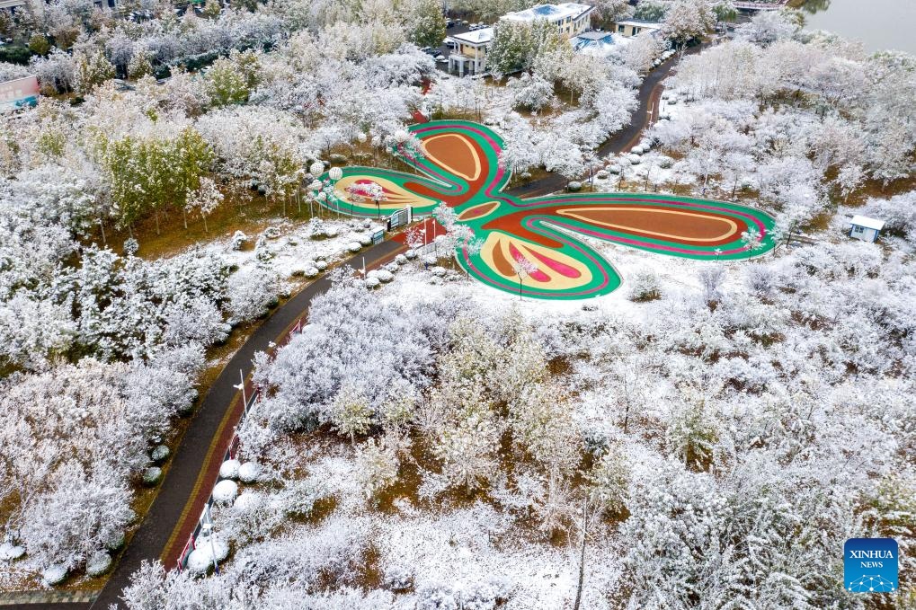Shandong greets first winter snow