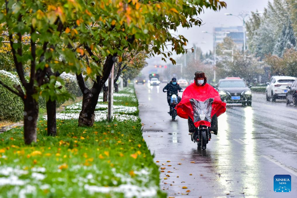 Shandong greets first winter snow