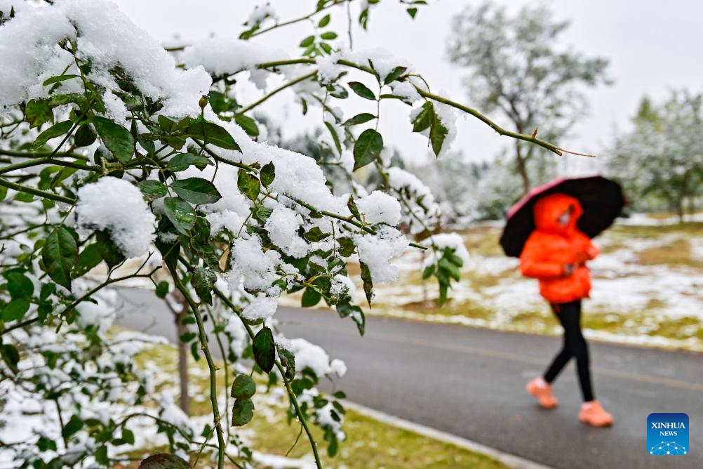 Shandong greets first winter snow
