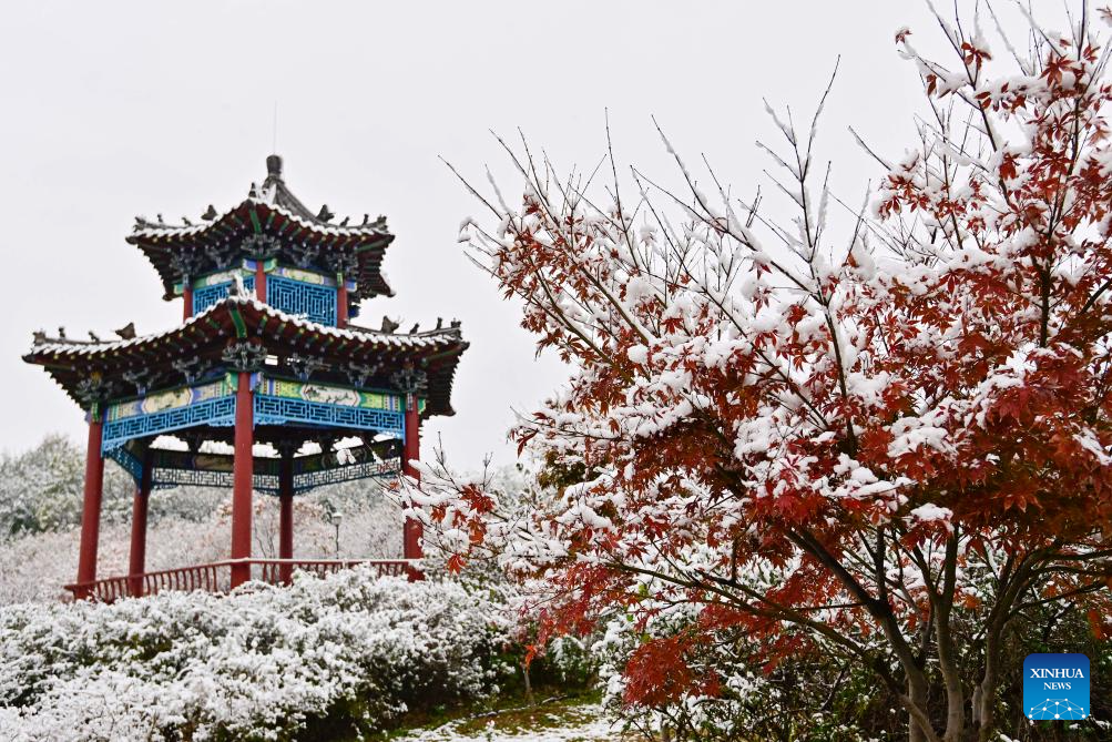 Shandong greets first winter snow