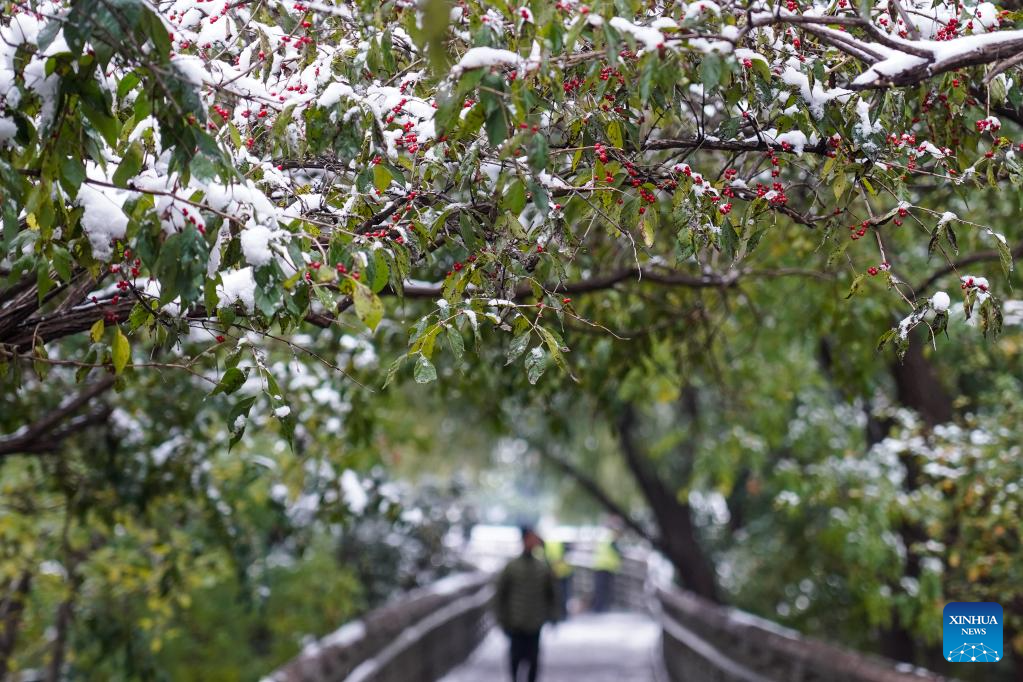 Shandong greets first winter snow