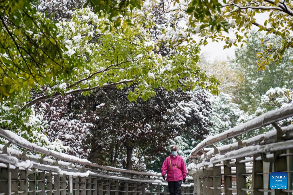 Shandong greets first winter snow