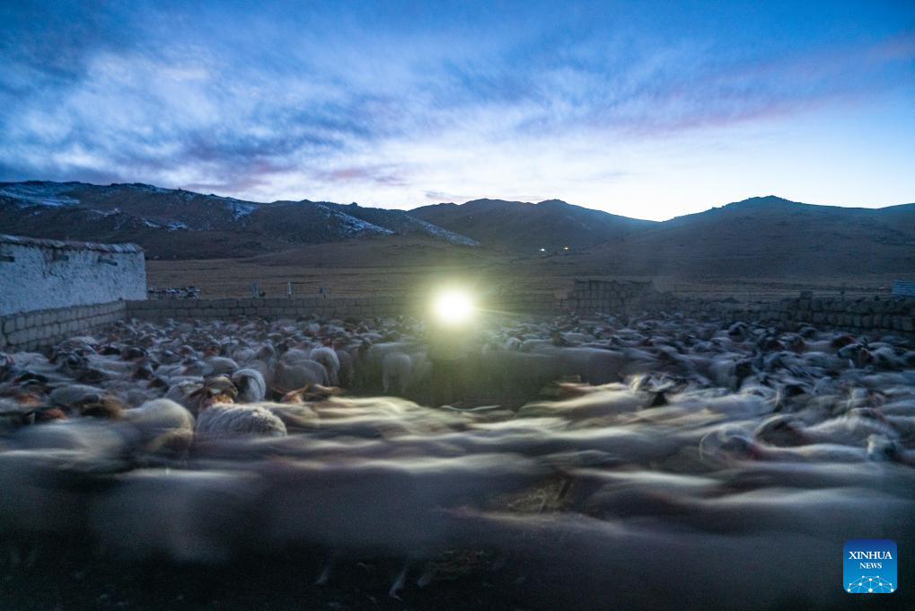 Housing project improves grassland life at winter pastures in Xizang