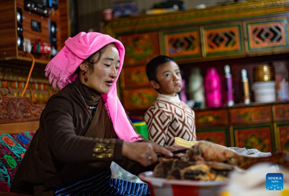 Housing project improves grassland life at winter pastures in Xizang