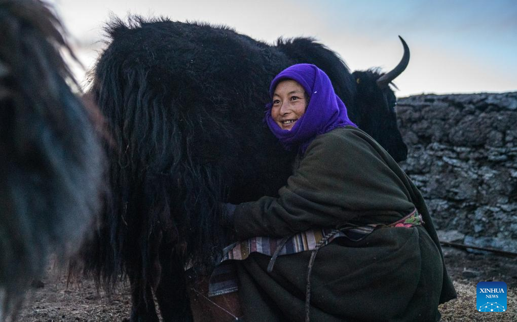 Housing project improves grassland life at winter pastures in Xizang