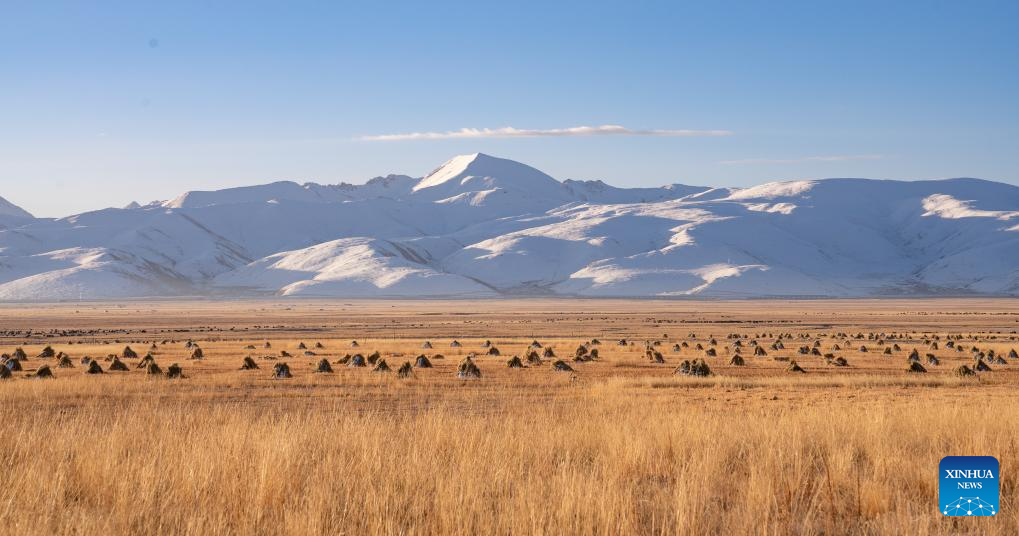 Housing project improves grassland life at winter pastures in Xizang