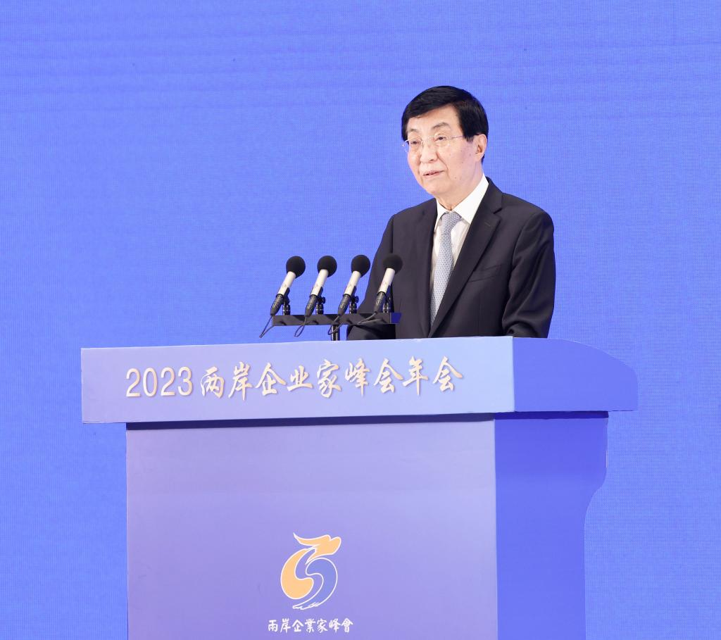 Annual conference of Cross-Strait CEO Summit opens in Nanjing