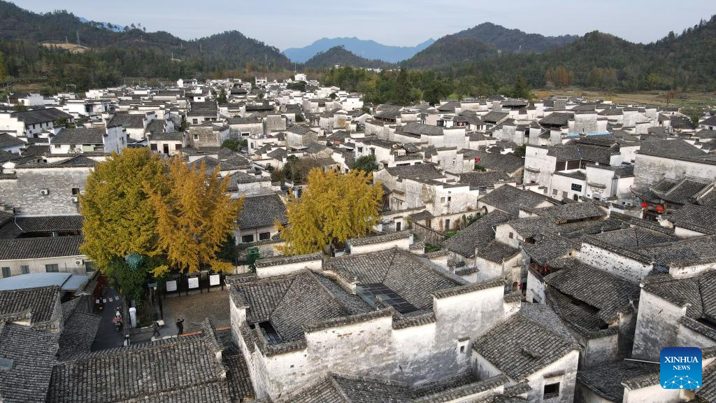 Village views in E China's Anhui