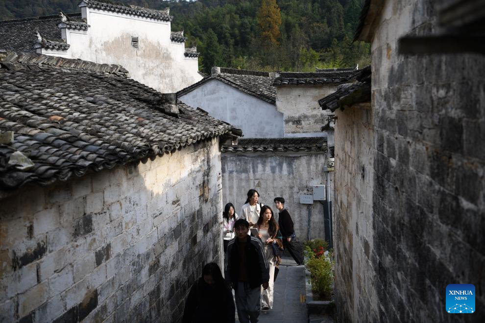 Village views in E China's Anhui