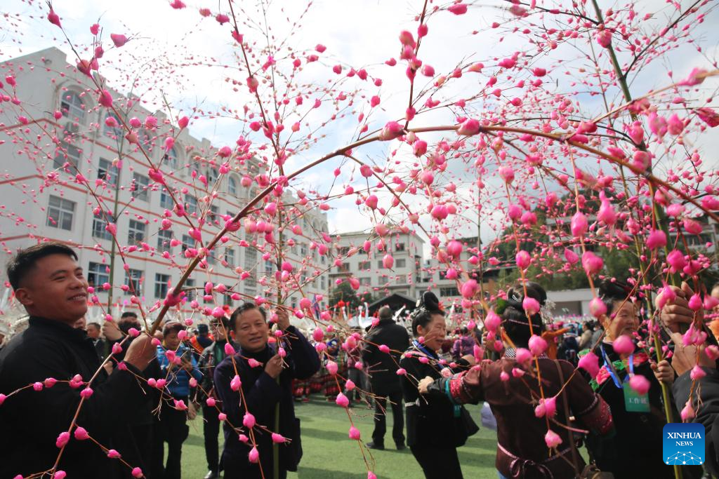 Celebrations of Miao New Year and Guzang Festival held in SW China's Guizhou