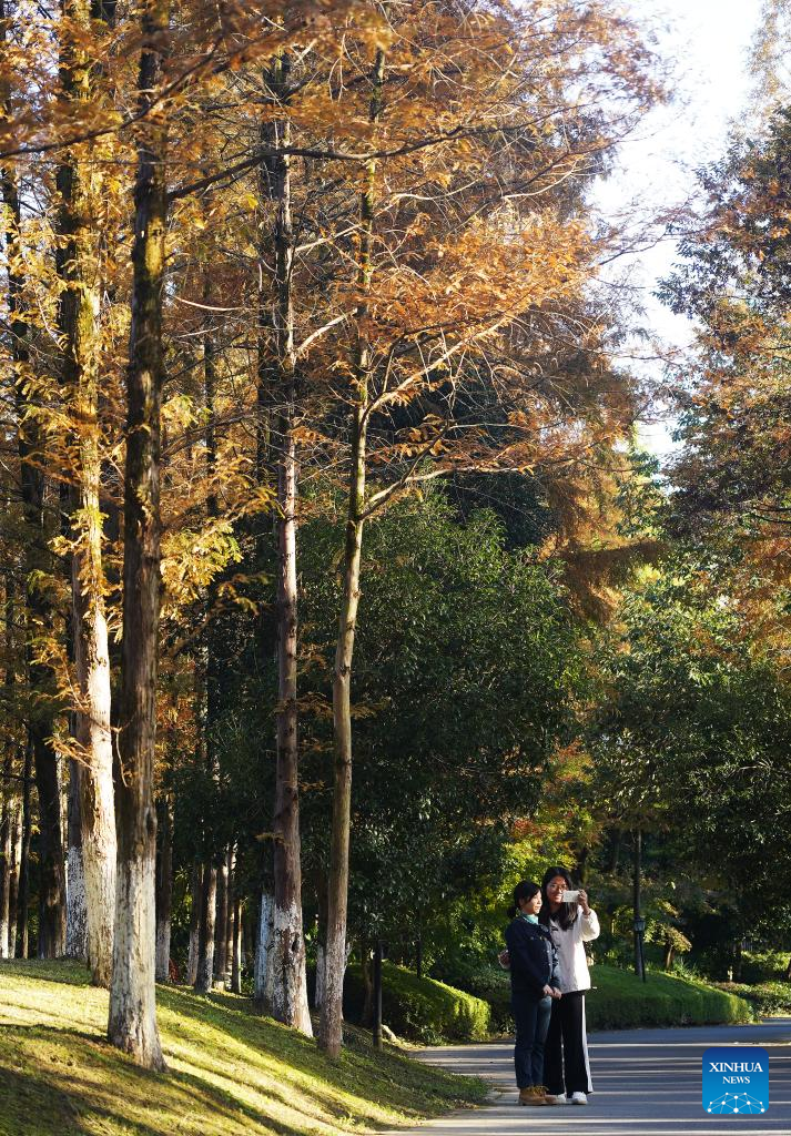 In pics: Meiling national forest park in Nanchang, E China