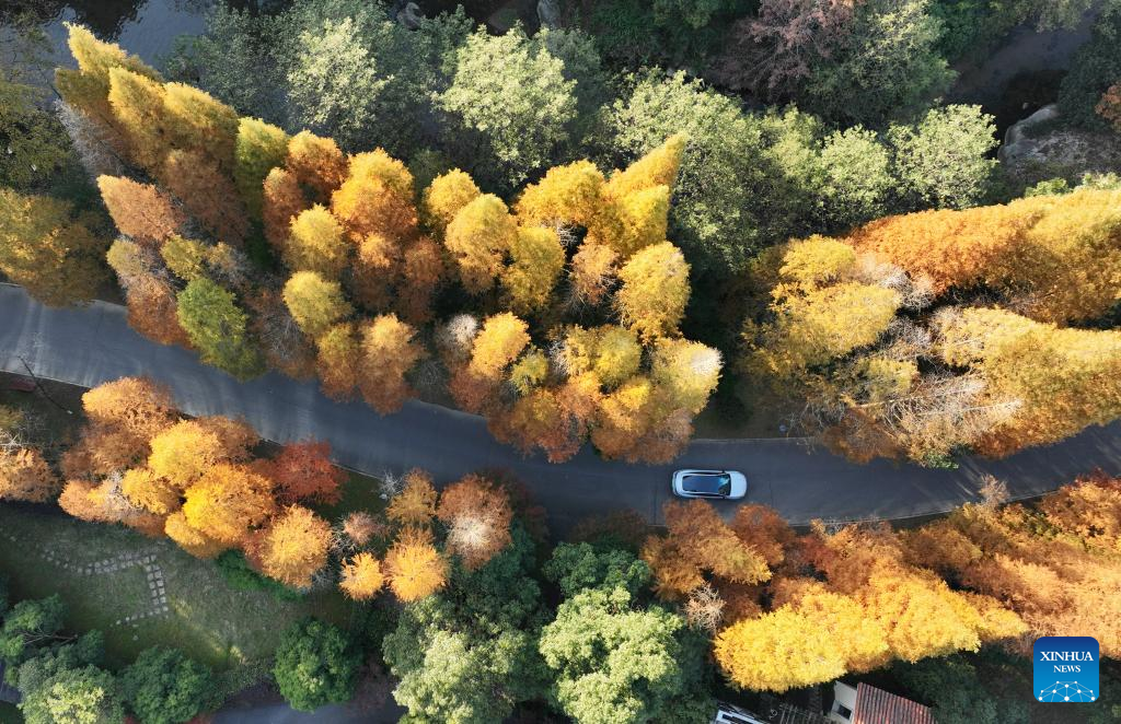 In pics: Meiling national forest park in Nanchang, E China