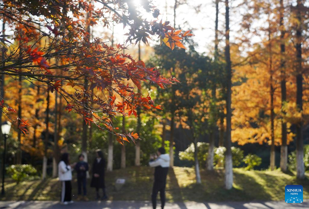 In pics: Meiling national forest park in Nanchang, E China