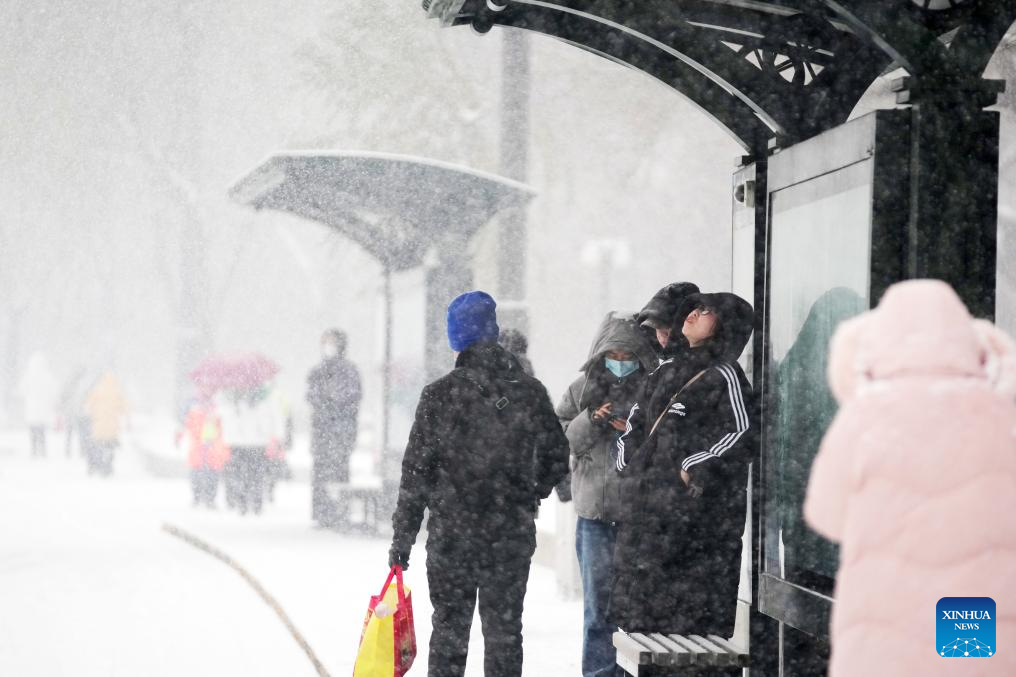 Heavy snow hits Harbin in NE China