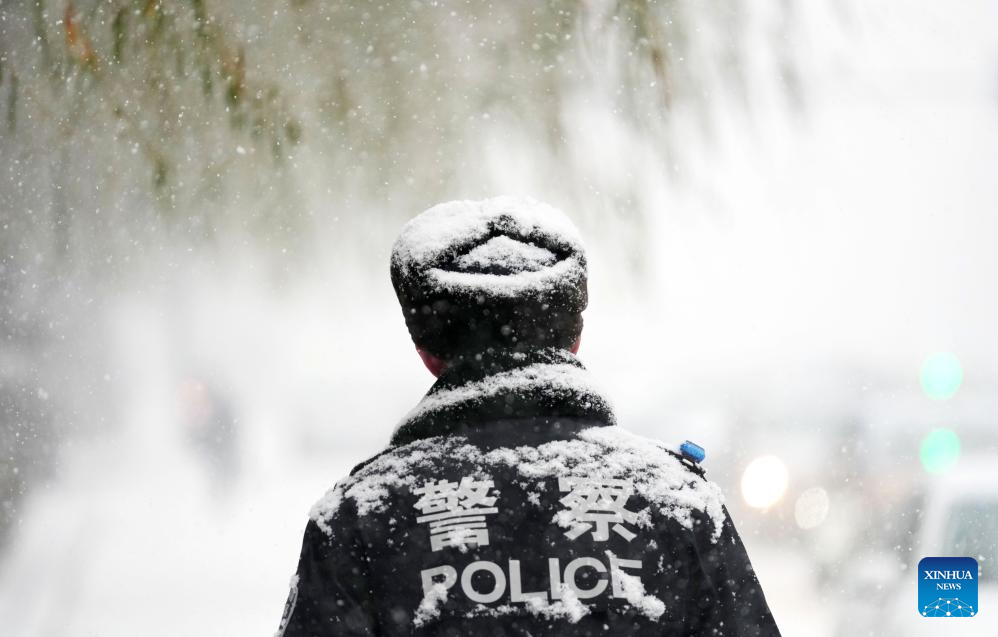 Heavy snow hits Harbin in NE China