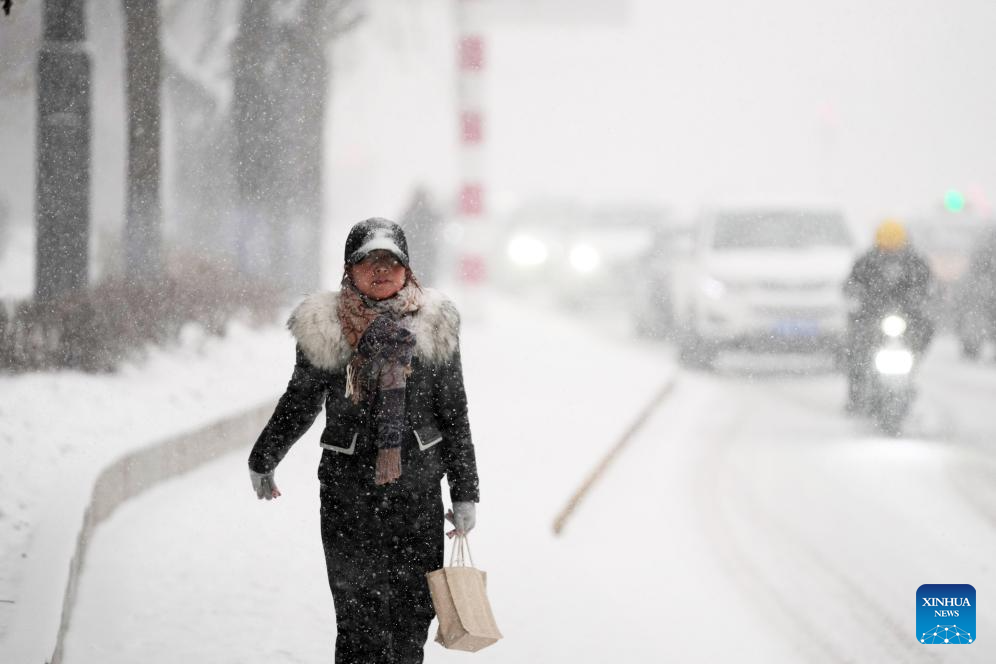 Heavy snow hits Harbin in NE China