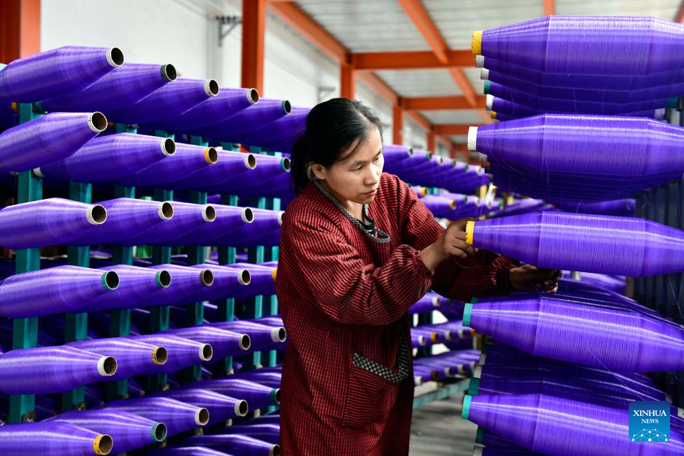 County in E China develops rope net industry